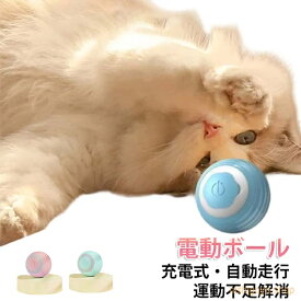 自動走行 猫おもちゃ ペット 電動ボール キャットボール 360°自動回転ボール 静音 キャットボール 運動不足解消 シリコンボール ひとり遊び 猫じゃらし ストレス解消 動く 不規則な動き USB充電式 室内用 ねこ夢中 ギフト