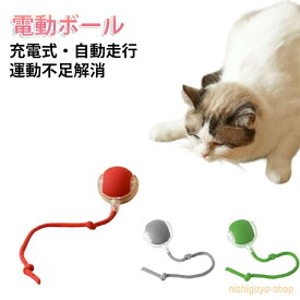 一人遊び 3モード 猫 USB充電式 電動 おもちゃ 猫 猫 静音 電動 飽きない 一人遊び ボール 光る 自動回転 自動 猫 電動おもちゃ 人気 スマート自動ローリング 猫じゃらし ペットおもちゃ 猫 一人遊びおもちゃ お留守番に ストレス解消 ギフト