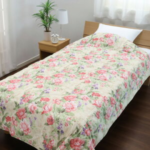 y10/30I5%OFFN[|z nishikawa() yAEgbgzHє| ݌Ɍɂʉi(VO)150×210cmY^Ă̗[΍ɂ ݌Ɍɂʉi