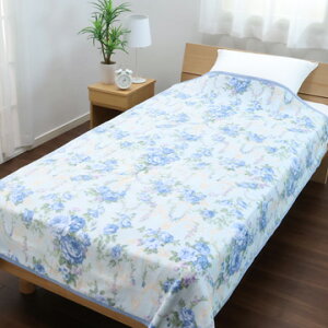 y1I|Cg18{z nishikawa() yAEgbgzȖѕz ݌Ɍɂʉi