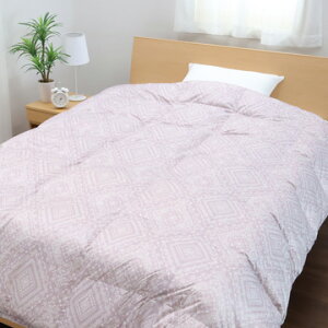 nishikawa() yAEgbgzHъ|ӂƂ { tXYO[_bN_E ݌Ɍɂʉi