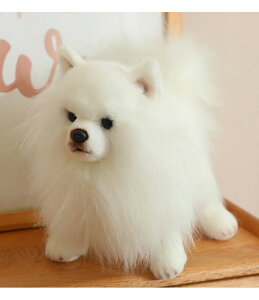 ʂ |jA  A { X   Ck̒u  ӂӂ _炩 n  CeA a 蕨