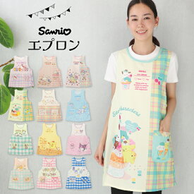 ＼ネコポス送料無料／ エプロン 保育士 キャラクター エプロン サンリオ 大人 サンリオキャラクターズ クロミ マイメロディ キティ フリーサイズ 24614147 24614152 24614153 25614155 25614156 25614157 25614158 25614159 25614160 25614161 25714164 25714165 24614152all