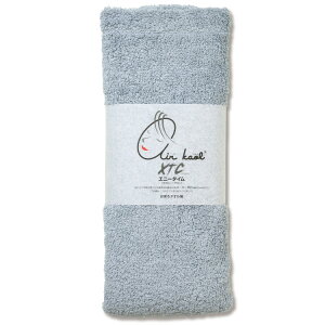 GA[ GNX^V[ Gj[^C GA Ki 100 ^I XTC 34×120cm 炩 y z  ӂ D Ԃ xr[ { Y rbOtFCX^I ڂ