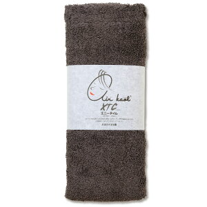 GA[ GNX^V[ Gj[^C GA Ki 100 ^I XTC 34×120cm 炩 y z  ӂ D Ԃ xr[ { Y rbOtFCX^I ڂ