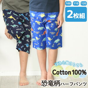 2Zbg [pc LbY j̎q 100 XeeR q  pW}   pĉ n[tpc ĂĂ 100 110 120   [EFA   {gX 2g 79320