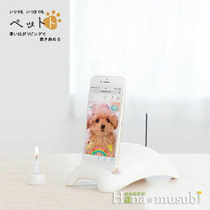 yX}zŋ{zł܂łuybggv^CvkzCg/ubNl̂ȂE[\Nt