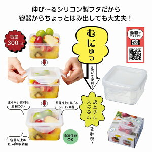 1璍 eʈȏILтVRWtۑe mxeBObY ̑i mxeB ii ei