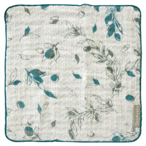 1璍 Taoyaka 4dK[[DnJ` I[u TAO-H-02CB mxeBObY ̑i mxeB ii ei