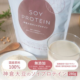 ソイプロテイン 黒糖きなこ 味 添加物不使用 人工甘味料不使用 国産 女性 授乳 タンパク 置き換え ダイエット 間食 食品 完全栄養食 食物繊維 腸活 簡単 ギフト 味噌 麹 三朝神倉大豆 280g 国産大豆 お歳暮 健康 プレゼント バレンタイン ホワイトデー