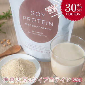 yVKw 30%OFFN[| 12/11 1:59܂ŁzY \CveC Ȃ  Ysgp lHÖsgp Y   VFCJ[ ^pN u _CGbg ԐH Hi Sh