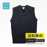 学生服 ベスト 男女兼用 制服 ウール混 小学生制服 中学生 高校生 スクールベスト 100-3L(紺)