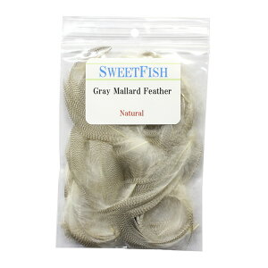 SWEET FISH�i�X�C�[�g�t�B�b�V���j Gray Mallard Feather �O���[�}���[�h �t�F�U�[ �y�䂤�p�P�b�gOK�z