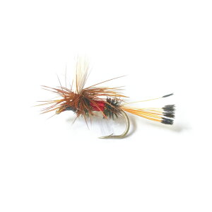 river peak(���o�[�s�[�N) ���C�����R�[�`�}�� �h���C�t���C �����i�т΂� 5�{�Z�b�g�b���F�����Q�E�e���X�g���A���p�^�[�� �y�䂤�p�P�b�gOK�z