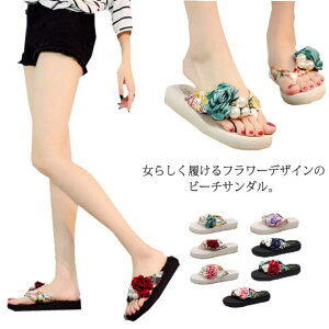 t[ r[`T_ ~[ fB[X  r r[T t[ EFbW\[ `L[V[Y gOT_  Sn  킢 y ~  