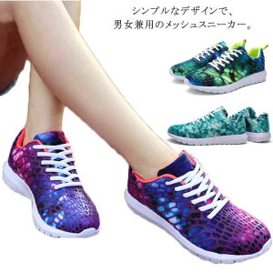 Xj[J[ jOV[Y Y fB[X y ʋC X|[cV[Y EH[LOV[Y WjA AEghA NbV ^C ʊw ʋ C W w jp g[j