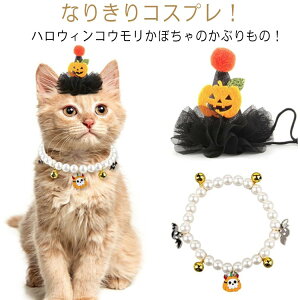 L Xq ybg̕   RXv RX`[ nEB Lp nEBObY L  ϑ 2_Zbg ߑ LXq nEB ybg pi Halloween Bybg I[i