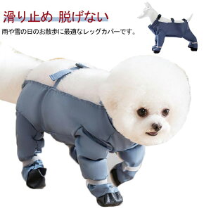 h CR[g ppc Cpc p pu[c p EȂ TCY߉\ Xy_[t  ybgp h~ O l{pc pV[Y ی ~ 