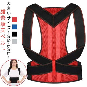 Lwxg ObY T|[^[ Lwxg Lwxg w؋xg ⏕ p ObY  pxg Lw Ȃ xg ␳ K LwT|[^[ P  LwP g