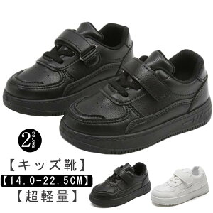 Xj[J[  ʉ _XV[Y w X|[c qC Cxg K n jp JWA i LbY LbY ʊw _XV[Y y ^C ʋC tďH~ ubN 