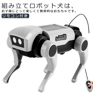 {bg dqybg mߋ  Rt gݗ {bgA[ q DIY ƒp ߋ {bgߋ j̎q a v[g q̓