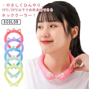 lbN N[[ 2Zbg ACVO O  nYt[ ⊴ MǑ΍ L  ۗ 28ŎR 18ŎR ₦ 킢  BBQ W[ sNjbN p`