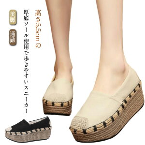 Xb| C fB[X  Xj[J[ 5.5cmq[ [Jbg LoX V[Y r  ꂢ RȂ JWA ₷ ₷ s ʋ ʊw