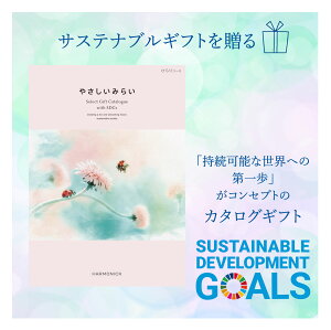  TXeiu J^OMtg 4000~ ЂR[X SDGs j Ԃ LOi 蕨  Mtg  j j o j j oYj Vzj T