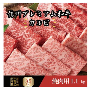 Ԍ|Cg5{ 1124܂ 蕨 A5N a     MBv~A 1.1kg ɂ 炩 MBY ē o[xL[ Jr ē MB Lv a Hו v