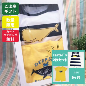  j̎q v[g p[X J[^[Y Zbg xr[ oYj t   9 9m bsO   Mtg 60 70 80  Vc a j oY  