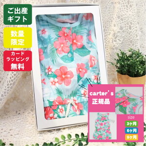  ̎q v[g p[X J[^[Y Zbg xr[ oYj t   3 3m 6 6m 9 9m bsO   Mtg 60 70 80  Vc a j