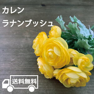  CeA DIY AW   EGJ{[h uC_  sbN JiubV