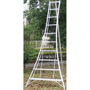 ACR(ALINCO)A~|Or300cm KWX300 [J[i(3) 4969182236040 qNo3650