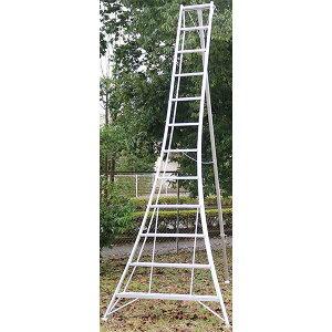 ACR(ALINCO)A~|Or360cm KWX360 [J[i(3) 4969182236064 qNo4060