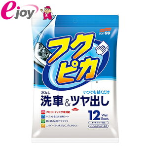 \tg99 tNsJ &co 12 W-220 [֑Ήi1܂Łj 4975759004684 SOFT99