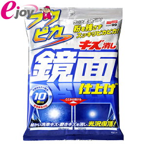 \tg99 tNsJ LYʎdグ 10 [֑Ήi1܂Łj W-169 4975759004967 SOFT99