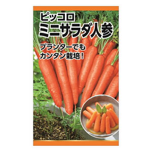 ミニ にんじん 農業資材 ガーデニング用品の人気商品 通販 価格比較 価格 Com ミニ にんじん 農業資材 ガーデニング用品の人気商品 通販 価格比較 価格 Com