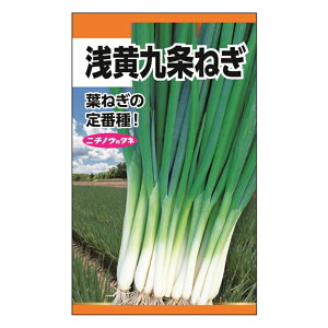 九条ねぎ 種の人気商品 通販 価格比較 価格 Com 九条ねぎ 種の人気商品 通販 価格比較 価格 Com