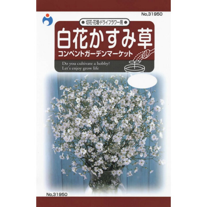 楽天市場 ウタネ 白花かすみ草コペント メール便対応 10個まで スーパーメガホームセンター Ejoy