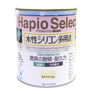 JynsI nsIZNg 1.6L Cgx[W ₠  VR pr 4972910047757