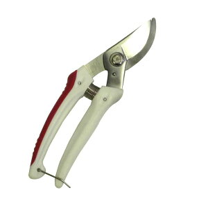 A[NhTJg CLUB J yʁE^ Xe 185mm 725506 [֑Ήi2܂Łj 4904781679911