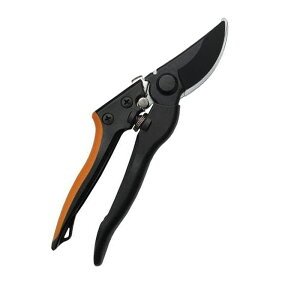 i OXt@Co[ [֑Ήi2܂Łj 4939736701317