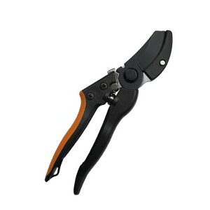 i OXt@Co[Ar^ [֑Ήi2܂Łj 4939736701324