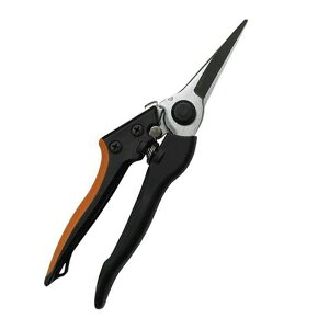 i OXt@Co[  [֑Ήi2܂Łj 4939736701331