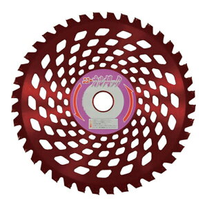 ACEbh @p`bv\[ j[Jb^ 230×36P 4939752981281