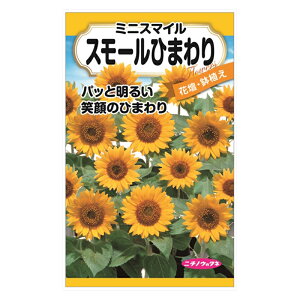 ミニ ひまわり 種の人気商品 通販 価格比較 価格 Com ミニ ひまわり 種の人気商品 通販 価格比較 価格 Com