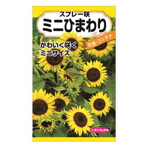 ミニ ひまわり 種の人気商品 通販 価格比較 価格 Com ミニ ひまわり 種の人気商品 通販 価格比較 価格 Com