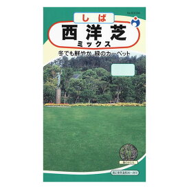 楽天市場 芝生の種 ホームセンターの通販