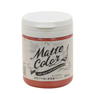 ATqy }bgJ[ 180ml J[fBibh  c pr yCg Matte color 4970925469601