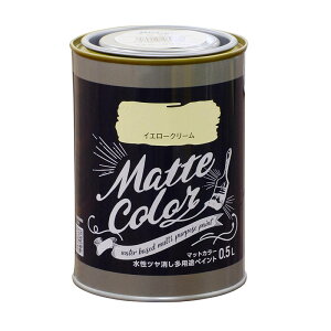 ATqy }bgJ[ 0.5L CG[N[  c pr yCg Matte color 4970925469779